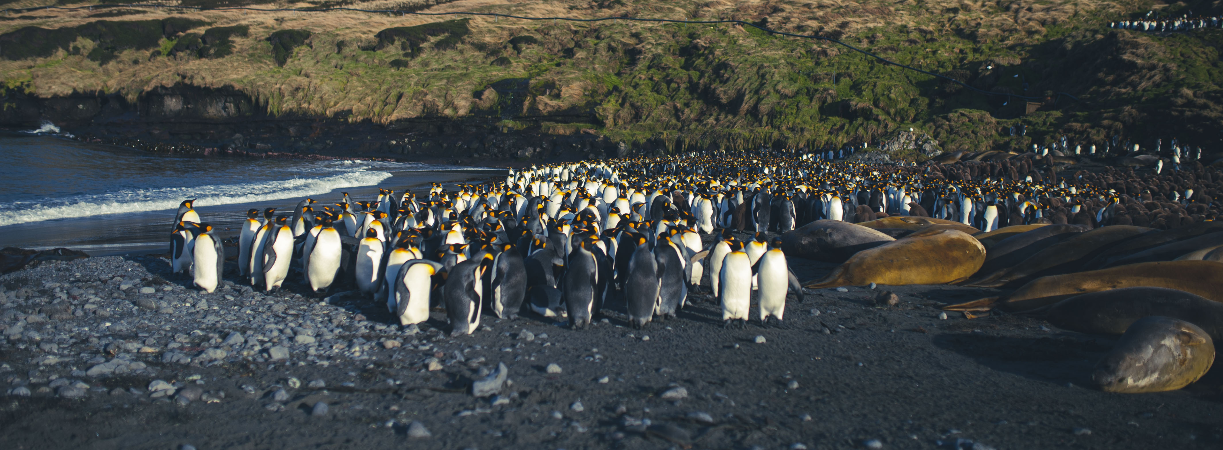 GYT 20220701 135623  DSC6291